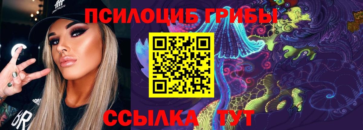 Псилоцибиновые грибы GOLDEN TEACHER  Галлюциногенные грибы прущие грибы  Ртищево  Вход с VPN 